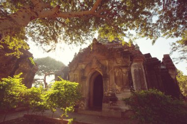 Myanmar 'da güzel bir budist.