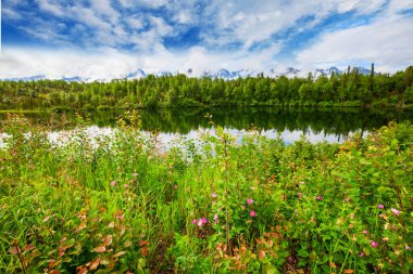 Dağlarda yeşil yaz gölü
