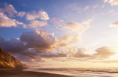 Ocean Beach, Yeni Zelanda 'da güzel manzaralar var. İlham verici doğal ve seyahat geçmişi