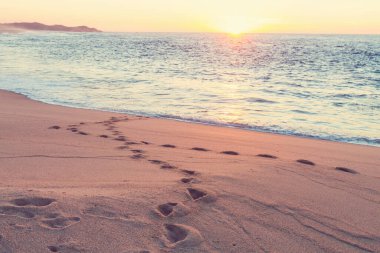 Güneşin doğuşunda tatil için güzel kumlu sahil.
