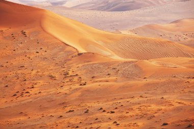 Namibya 'daki Namib çölünde güzel kum tepeleri