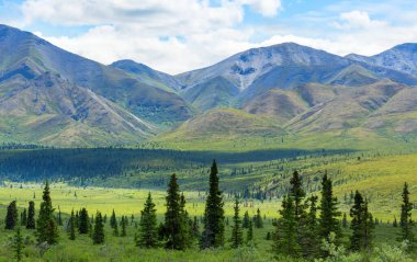 Yazın Alaska 'nın Picturesque Dağları. Kar, kütleleri, buzulları ve kayalık tepeleri kapladı. Güzel doğal arkaplan.