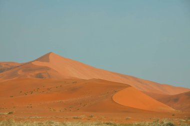 Namibya 'daki Namib çölünde güzel kum tepeleri