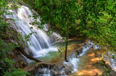 Ormanda güzel bir şelale, Meksika