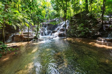 Ormanda güzel bir şelale, Meksika