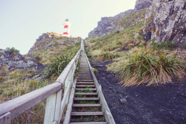 Pasifik kıyısındaki deniz feneri, Yeni Zelanda