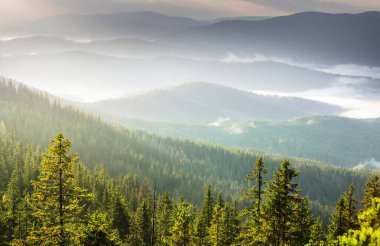 Karpatya dağlarında güzel doğal manzaralar