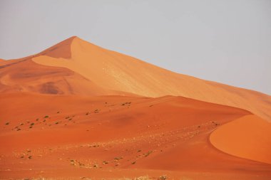 Uzak çöldeki bozulmamış kum tepeleri