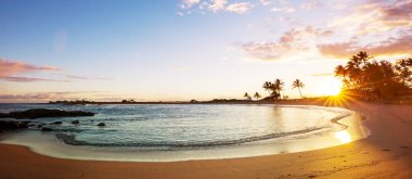 Tropikal sahildeki güzel yaz manzaraları