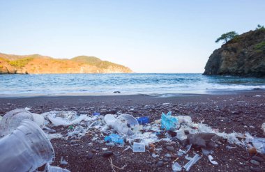 Ekolojik kavram. Plaj kirliliği - deniz sahilinde çöp