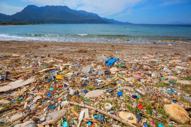 Ekolojik kavram. Plaj kirliliği - deniz sahilinde çöp