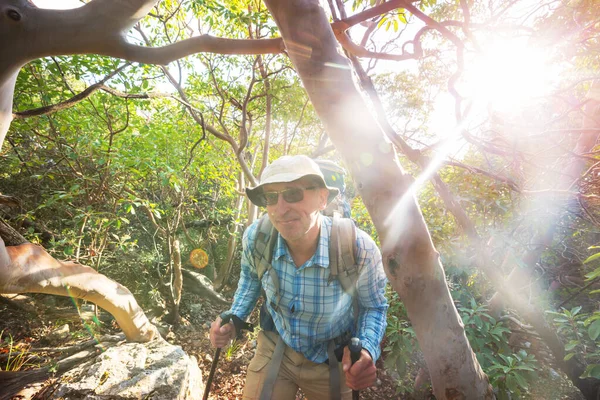 Человек Поход Залив Тропу Forest Nature Отдых Поход Открытым Небом — стоковое фото