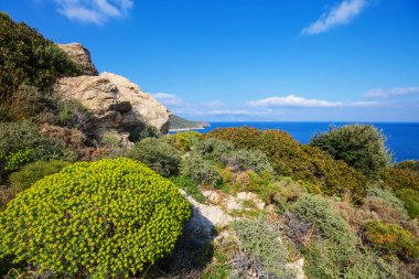 Türkiye 'de güzel deniz kıyıları