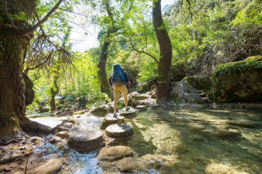 Yeşil bahar ormanındaki şelaleye bakan bir gezgin.