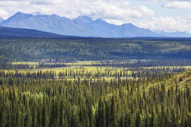 Yazın Alaska 'nın Picturesque Dağları. Kar, kütleleri, buzulları ve kayalık tepeleri kapladı. Güzel doğal arkaplan.