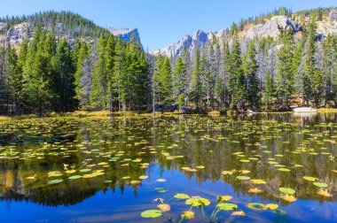 Yaz mevsiminde dağlarda huzur gölü. Güzel doğal manzaralar..