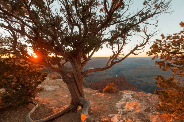 Picturesque Landscapes Grand Canyon Arizona Usa Beautiful Natural Background Travel — Stock Photo, Image