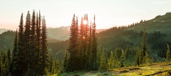 North Cascade Range Washington Abd Deki Güzel Dağ Zirvesi — Stok fotoğraf