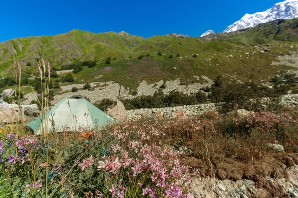 Yaz Mevsiminde Dağlarda Yürüyüş Çadırı — Stok fotoğraf