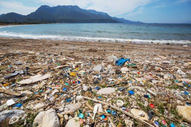 Ekolojik kavram. Plaj kirliliği - deniz sahilinde çöp
