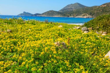 Türkiye 'de güzel deniz kıyıları