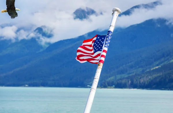 American Flags American Eagle Alaska Good National Concept — Stock Photo, Image