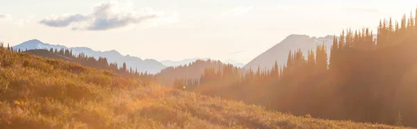 Berg Silhouet Bij Zonsopgang Het Voorjaar — Stockfoto