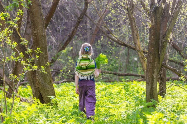 Liebenswertes Kleines Mädchen Das Einem Frühlingstag Wald Wandert — Stockfoto