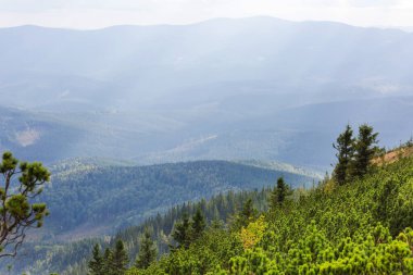 Karpatya dağlarında güzel doğal manzaralar