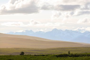 Yazın Alaska 'nın Picturesque Dağları. Kar, kütleleri, buzulları ve kayalık tepeleri kapladı. Güzel doğal arkaplan.