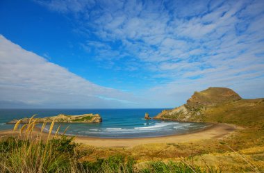 Ocean Beach, Yeni Zelanda 'da güzel manzaralar var. İlham verici doğal ve seyahat geçmişi