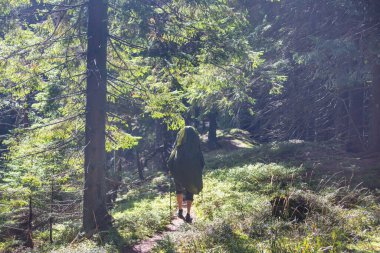 Ormandaki patikada yürüyüş yapan bir adam. Doğa yürüyüşü açık havada.