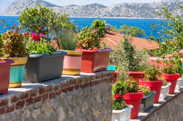 Bella Strada Decorata Con Fiori Sullo Sfondo Del Mare — Foto Stock