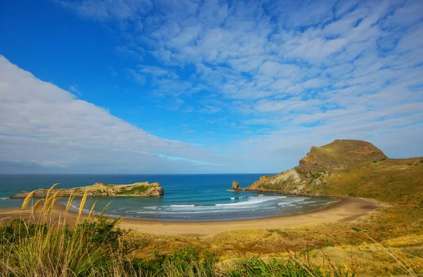 Vackra Landskap Det Ocean Beach Nya Zeeland Inspirerande Natur Och — Stockfoto