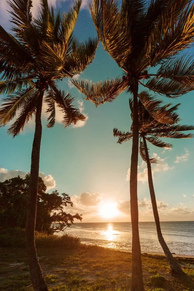 Krásné Letní Krajiny Tropické Pláži — Stock fotografie