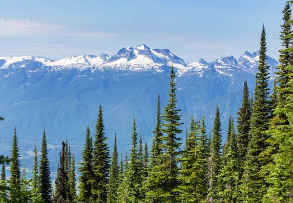 夏季加拿大落基山脉的风景如画的山景 — 图库照片