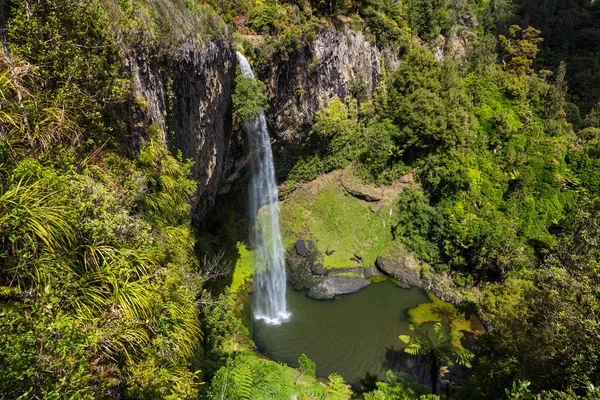 Bella Cascata Nella Foresta Pluviale Verde Nuova Zelanda — Foto Stock