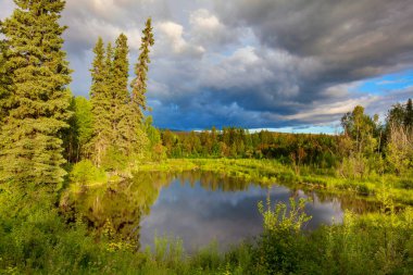 Alaska tundrasında dinginlik gölü.