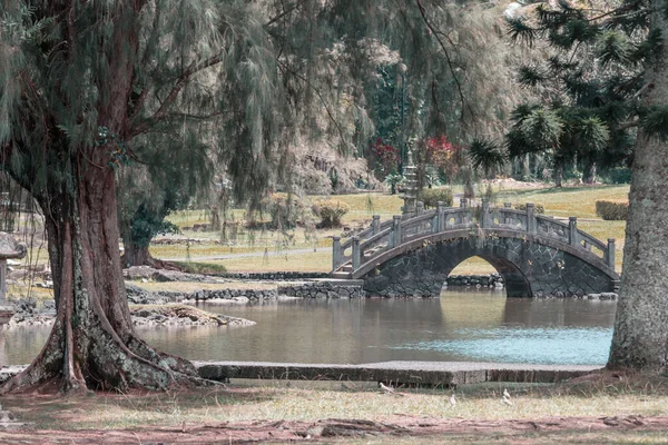 Belo Jardim Chinês Temporada Verão — Fotografia de Stock