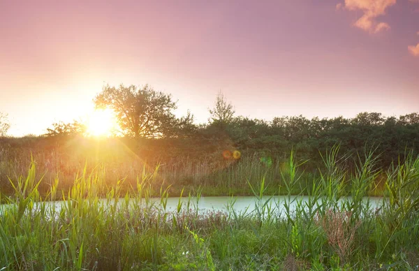 Green Summer Lake Mountains — Stock Photo, Image