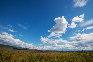 Kutup dairesinin üstündeki Tundra manzaraları