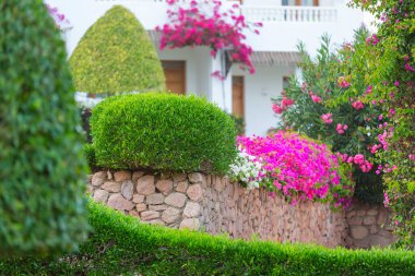 Tropikal tatil beldesinde rahatlama yeri aç