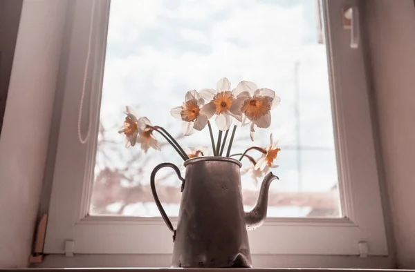 Jonquilles Dans Une Vieille Théière Sur Fenêtre — Photo