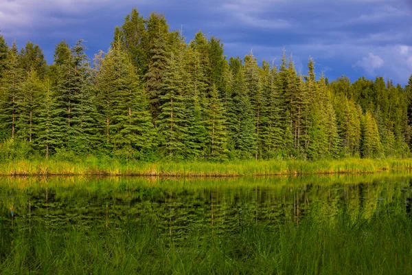 Dağlarda yeşil yaz gölü