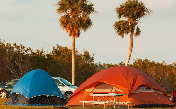 Tält Camping Grön Äng Florida Usa — Stockfoto