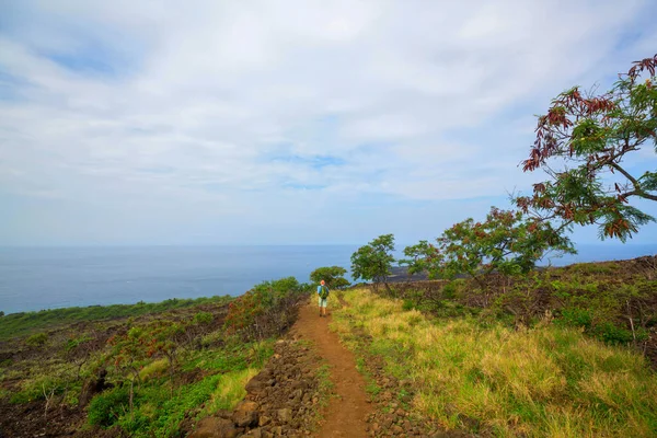 Wanderer Auf Dem Trail Palmenplantagen Hawaii Usa — Stockfoto