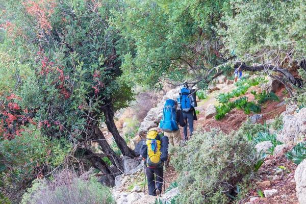 Group Backpackers Hiking Mountains Outdoor Active Lifestyle Travel Adventure Vacations — Stock Photo, Image