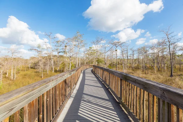 Promenada Bagnach Parku Narodowego Everglades Floryda Usa — Zdjęcie stockowe