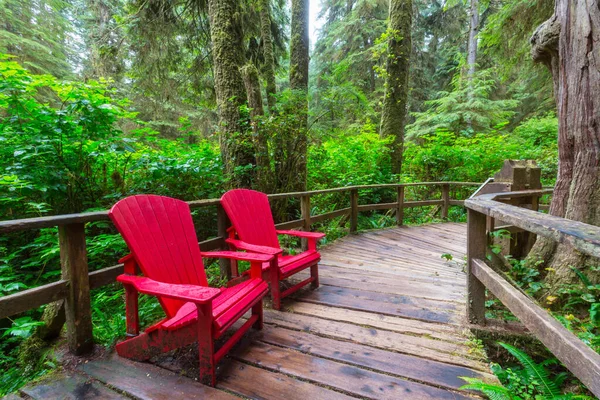 Rojo Cómodas Tumbonas Lago Canadá Concepto Viaje Canadiense Tamaño Del — Foto de Stock