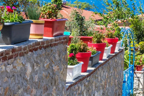 Bella Strada Decorata Con Fiori Sullo Sfondo Del Mare — Foto Stock